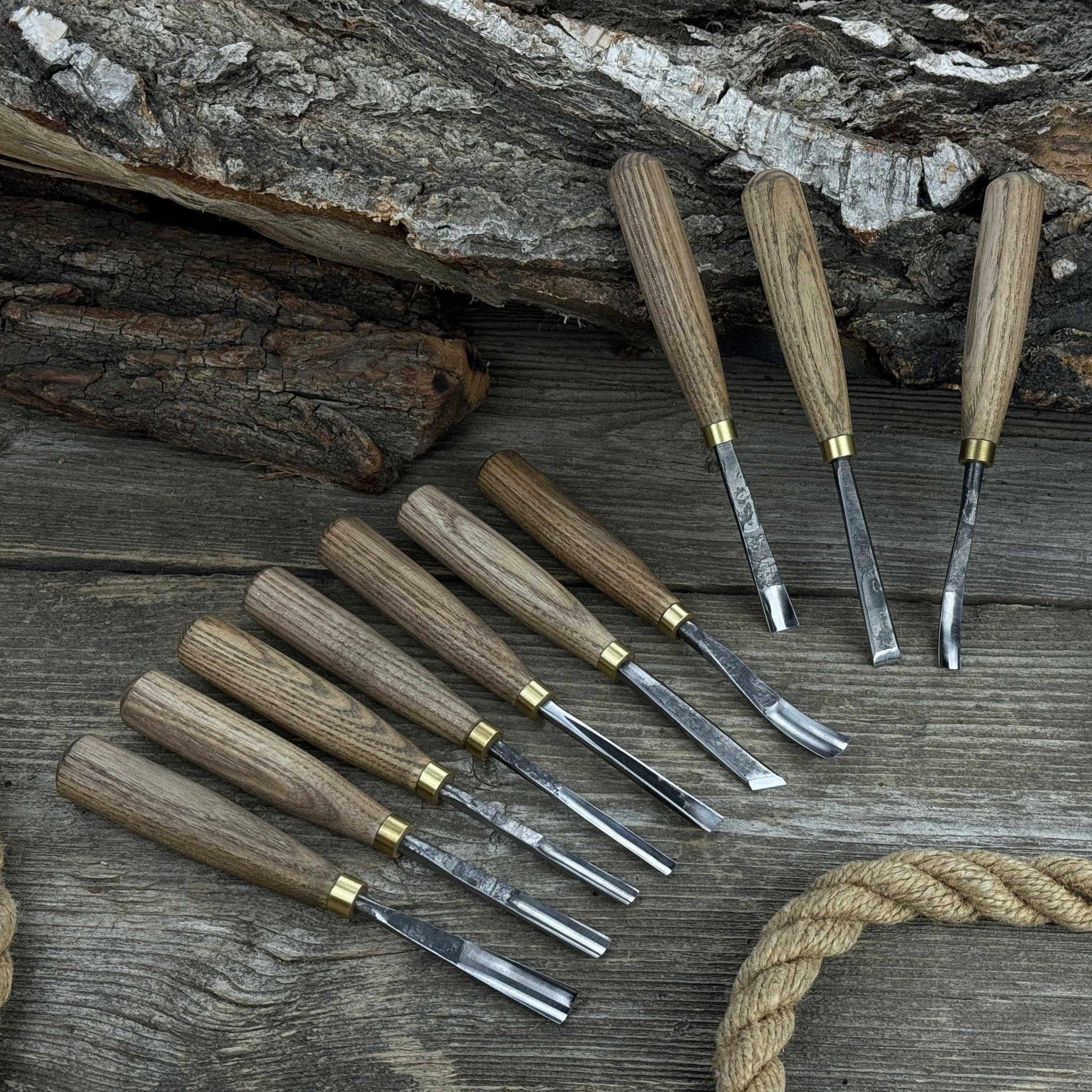 10-Piece Wood Carving Chisel &amp; Gouge Set
