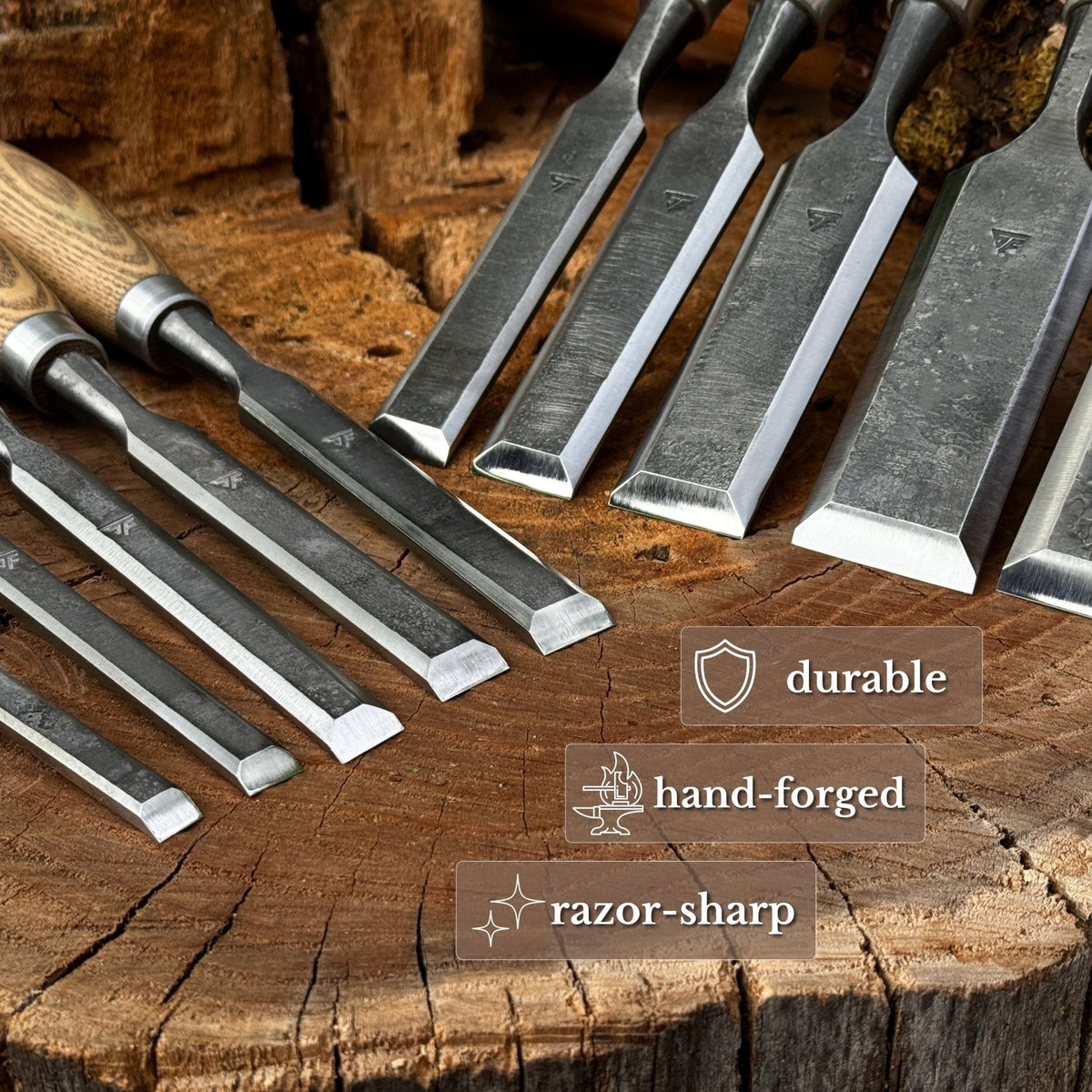 10-Piece Wood Carving Chisel Set