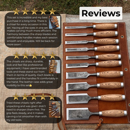 10-Piece Wood Carving Chisel Set