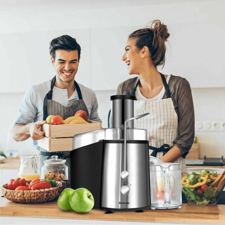 2-Speed Electric Juicer for Fruits &amp; Vegetables