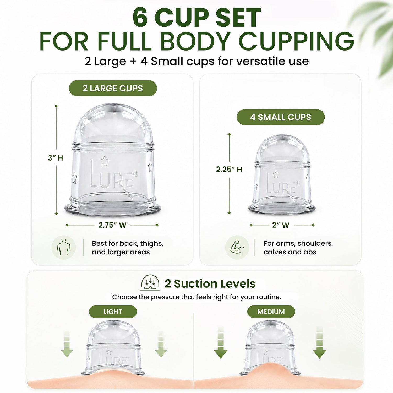 ZEN Cupping Therapy Set - 6 Cups