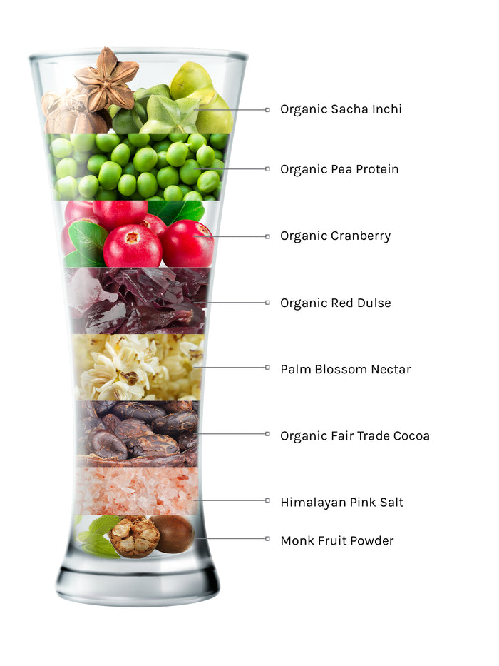 Organic Super Protein - Chocolate 21.2 oz (600 g)