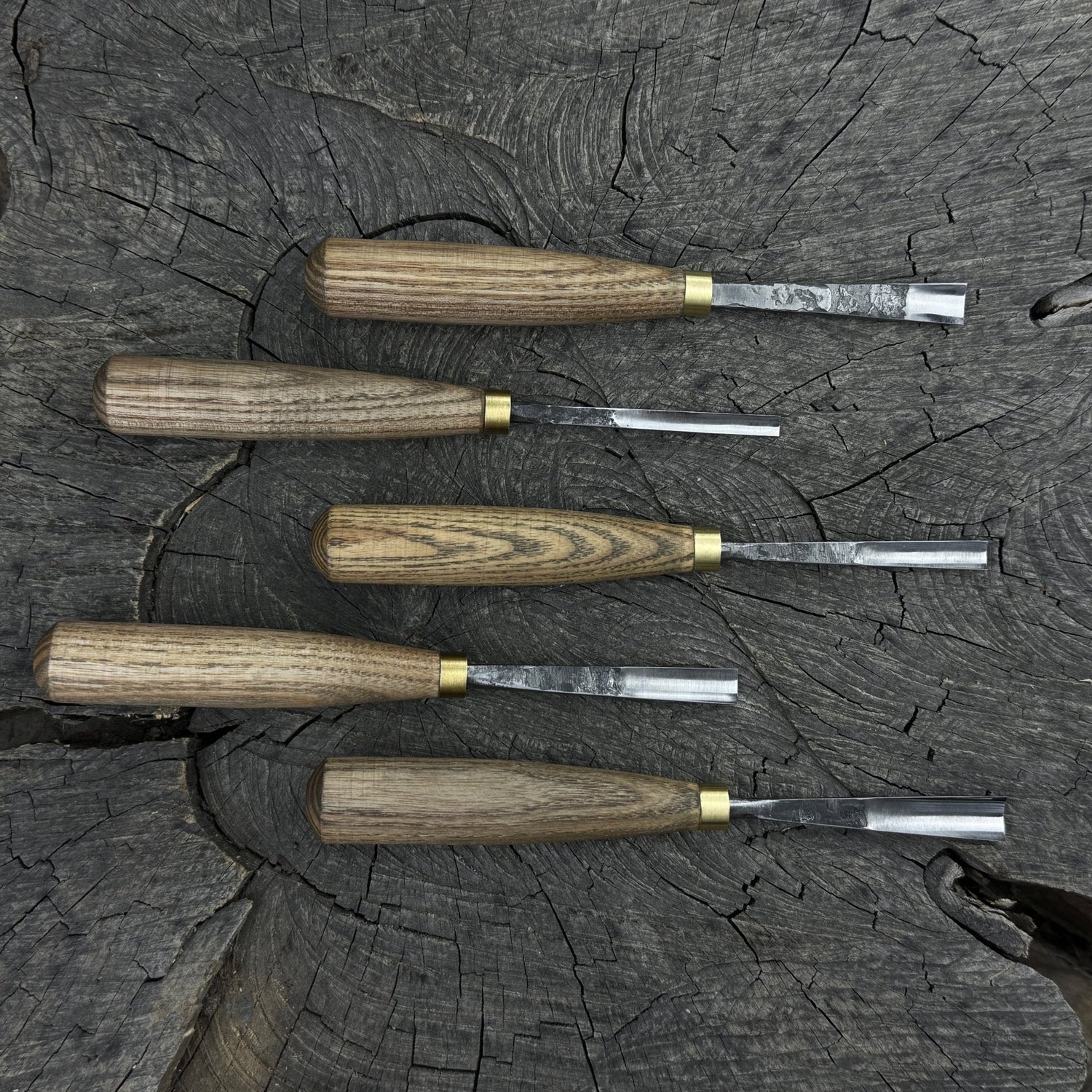 5-Piece Wood Carving Chisel &amp; Gouge Set