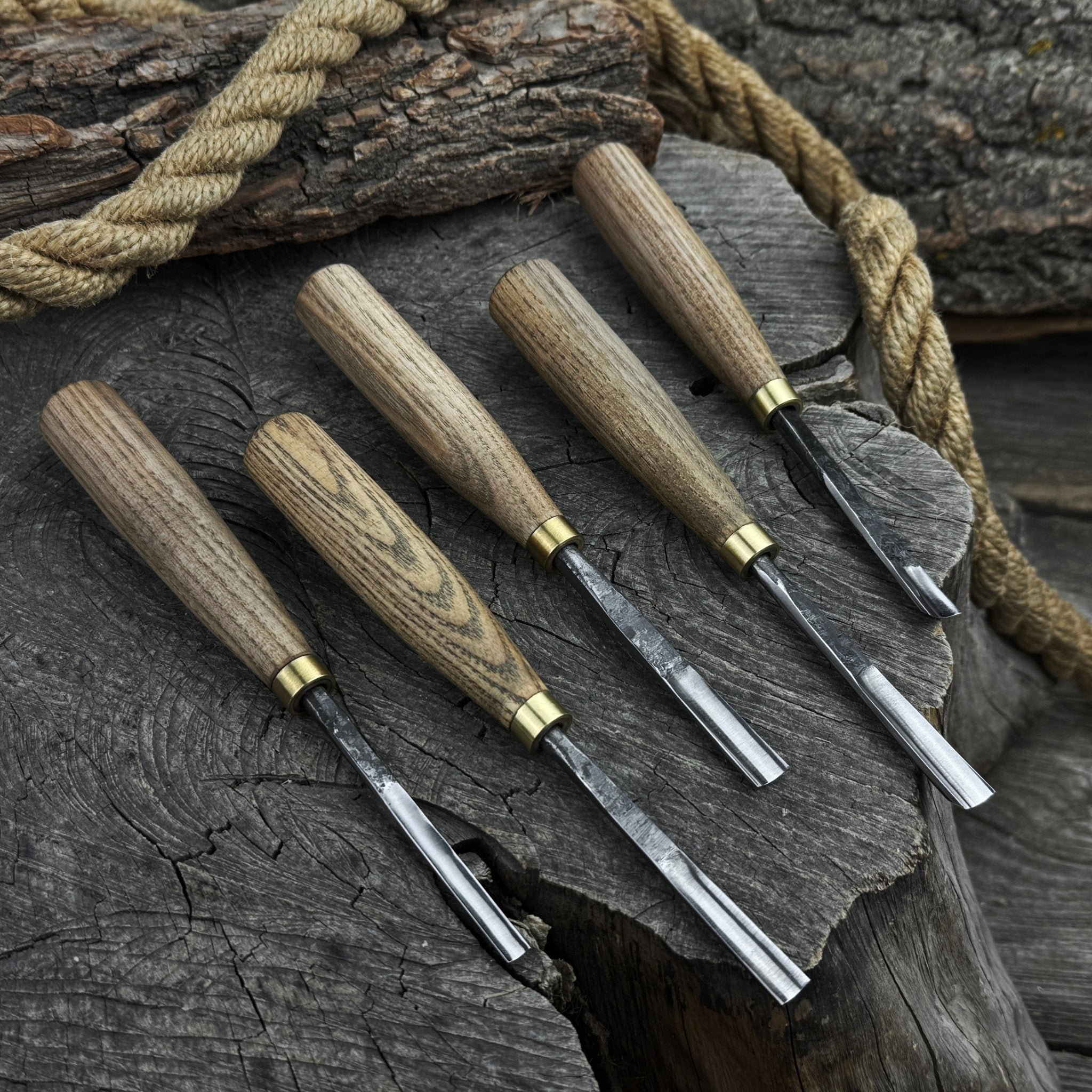 5-Piece Wood Carving Chisel &amp; Gouge Set