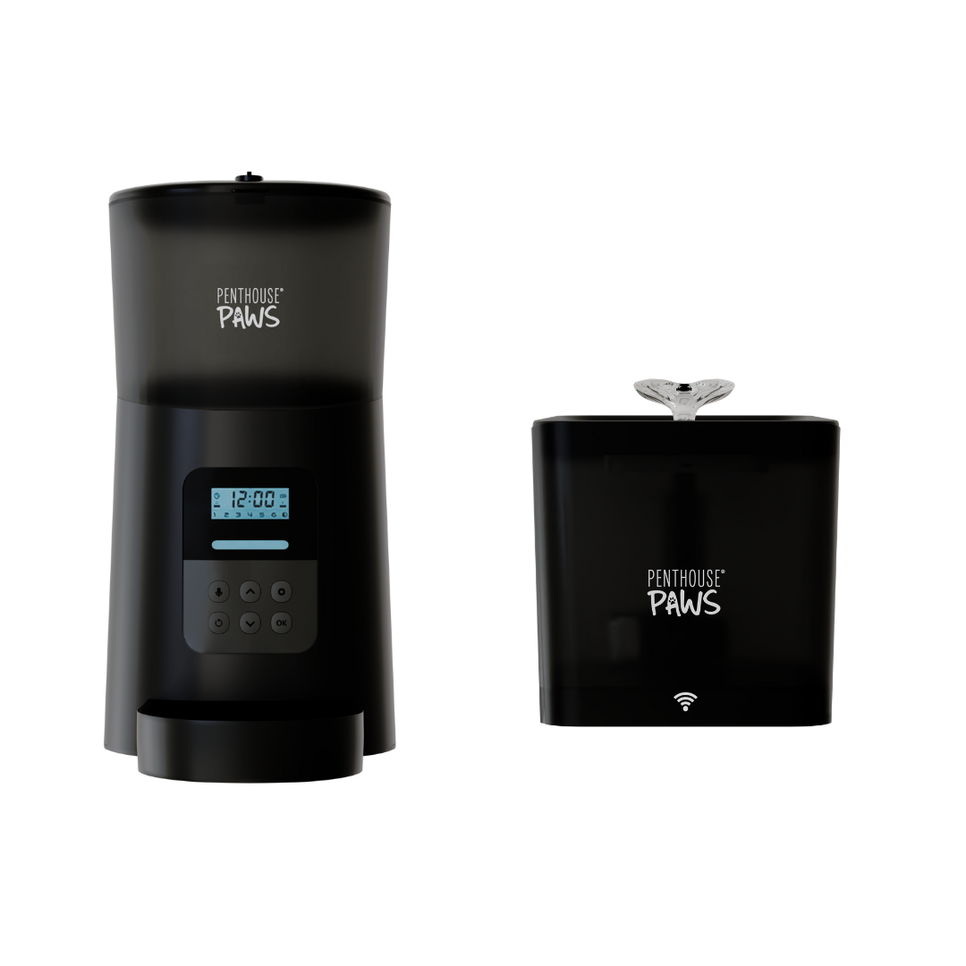Automatic Cat Feeder &amp; Smart Water Fountain