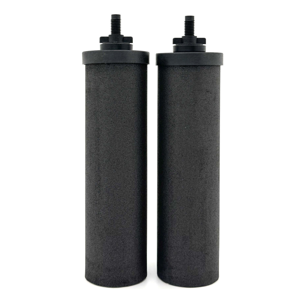 Berkey Phoenix Gravity New Millennium Edition Filter Elements Set of 2 (5,500 Gallons of Water)