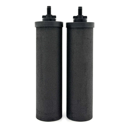 Berkey Phoenix Gravity New Millennium Edition Filter Elements Set of 2 (5,500 Gallons of Water)