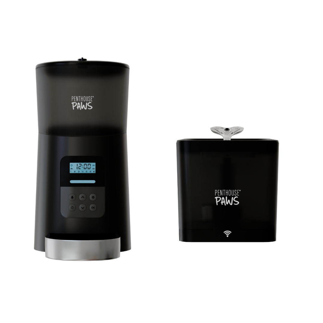 Automatic Cat Feeder &amp; Smart Water Fountain