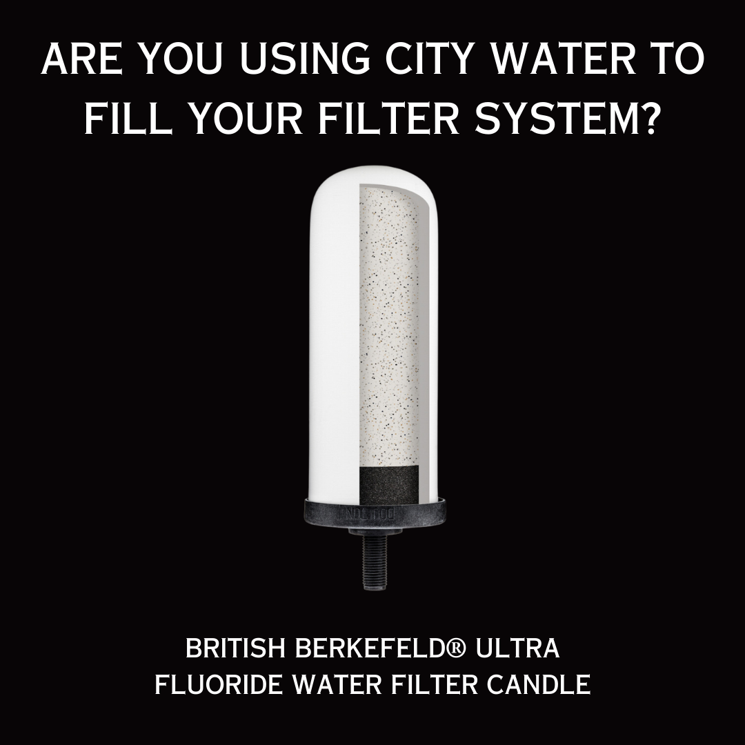 Sana Vida Fluoride Water Filtration Systems