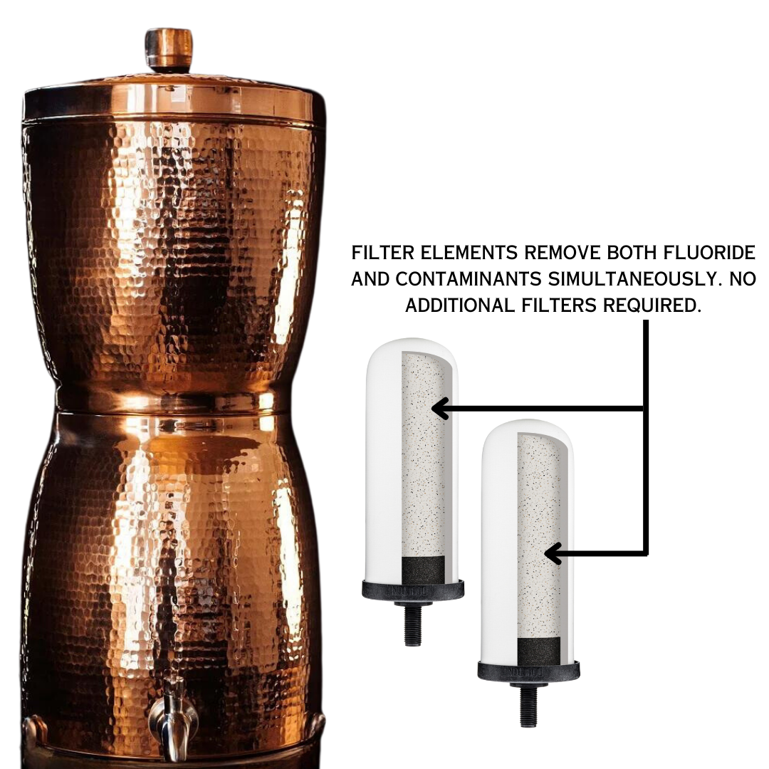 Sana Vida Fluoride Water Filtration Systems