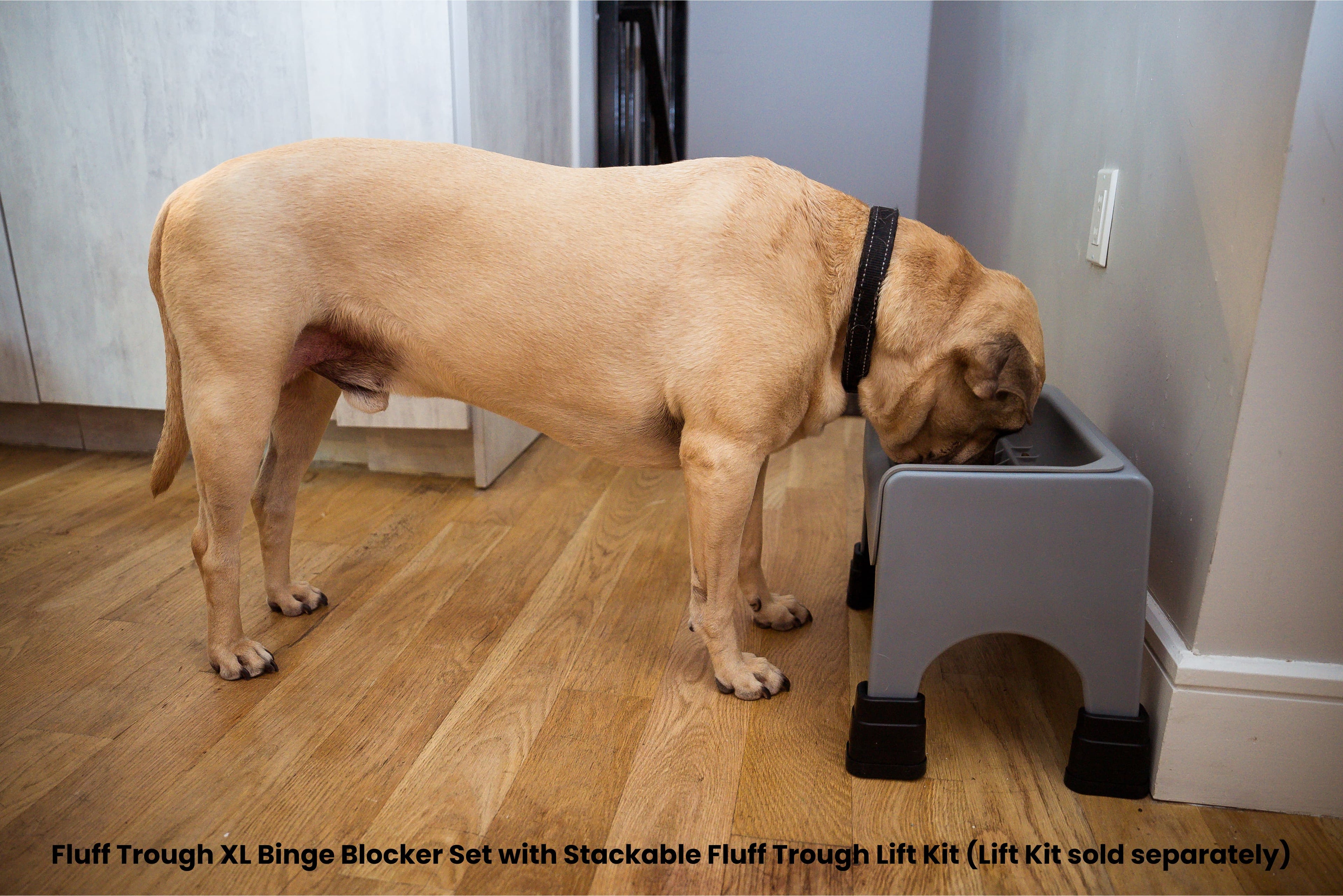 Fluff Trough XL Binge Blocker Set