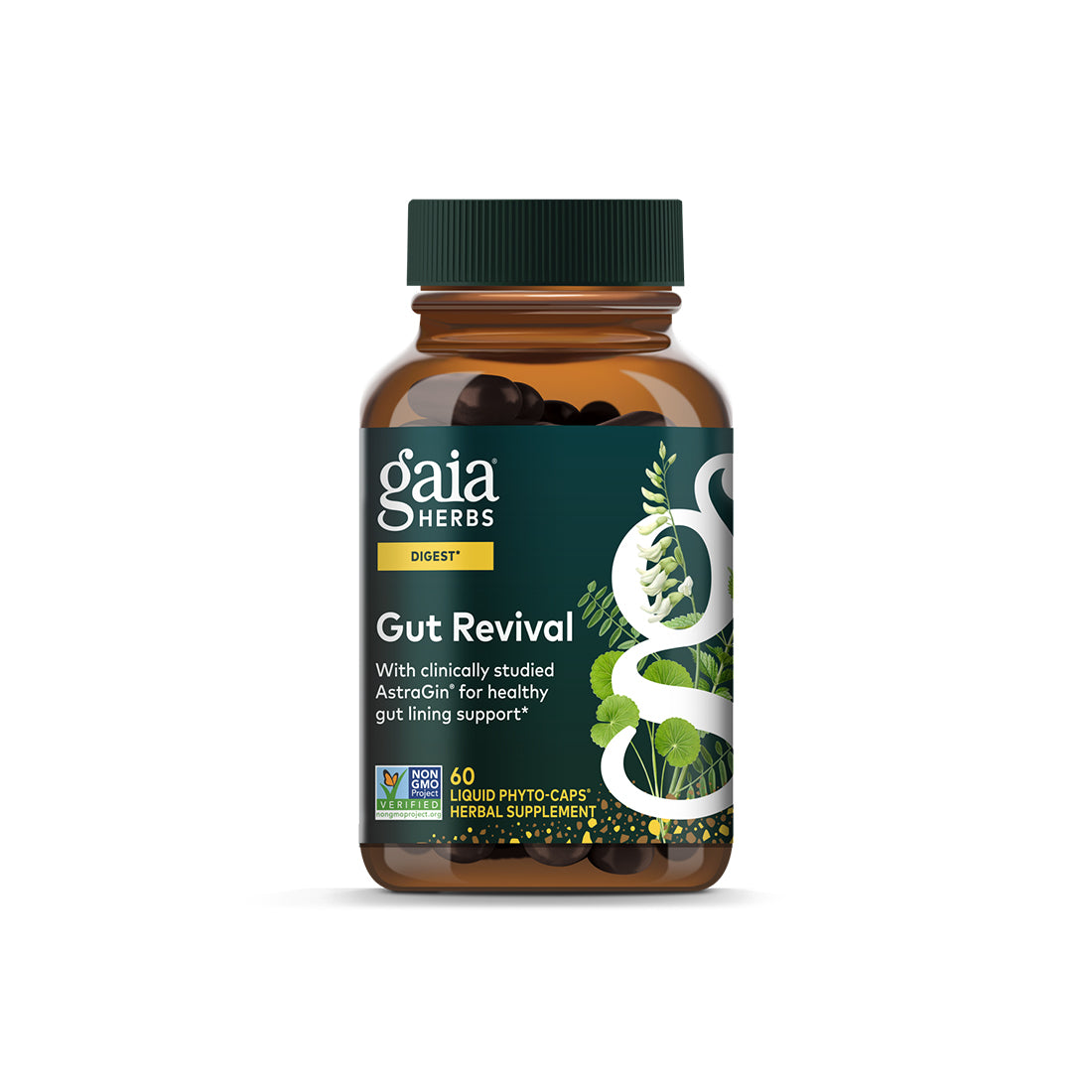 Gut Revival 60 Vegan Liquid Phyto-Caps