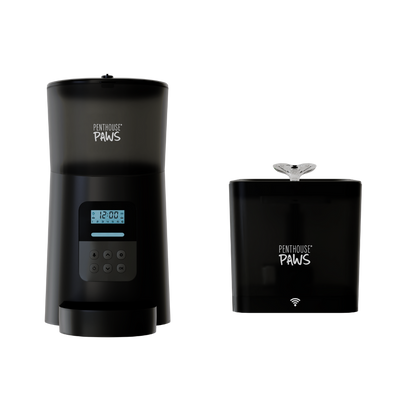 Automatic Cat Feeder &amp; Smart Water Fountain
