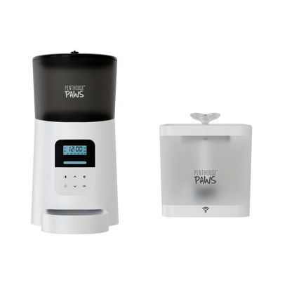 Automatic Cat Feeder &amp; Smart Water Fountain