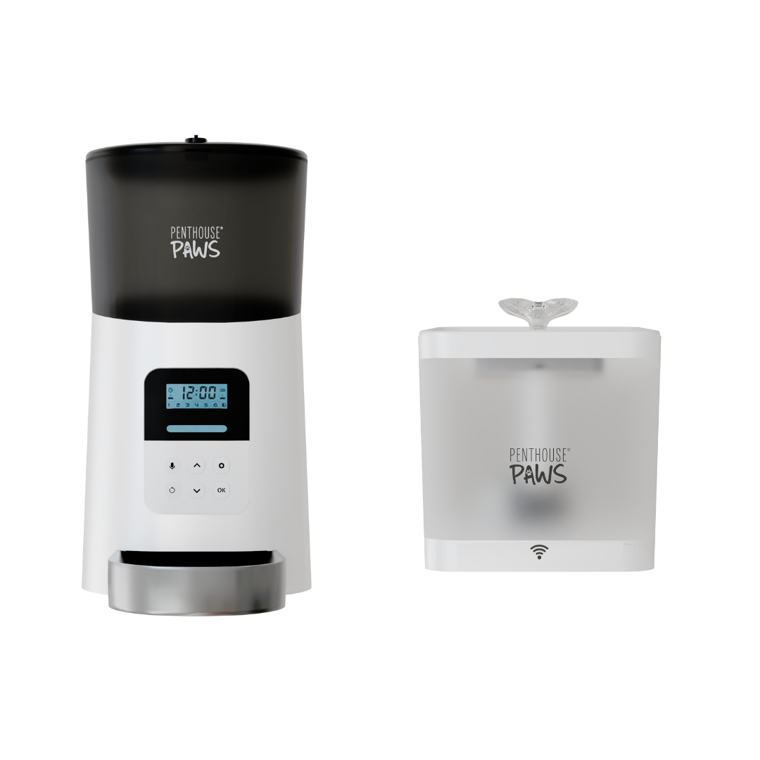 Automatic Cat Feeder &amp; Smart Water Fountain