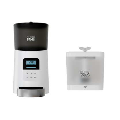 Automatic Cat Feeder &amp; Smart Water Fountain