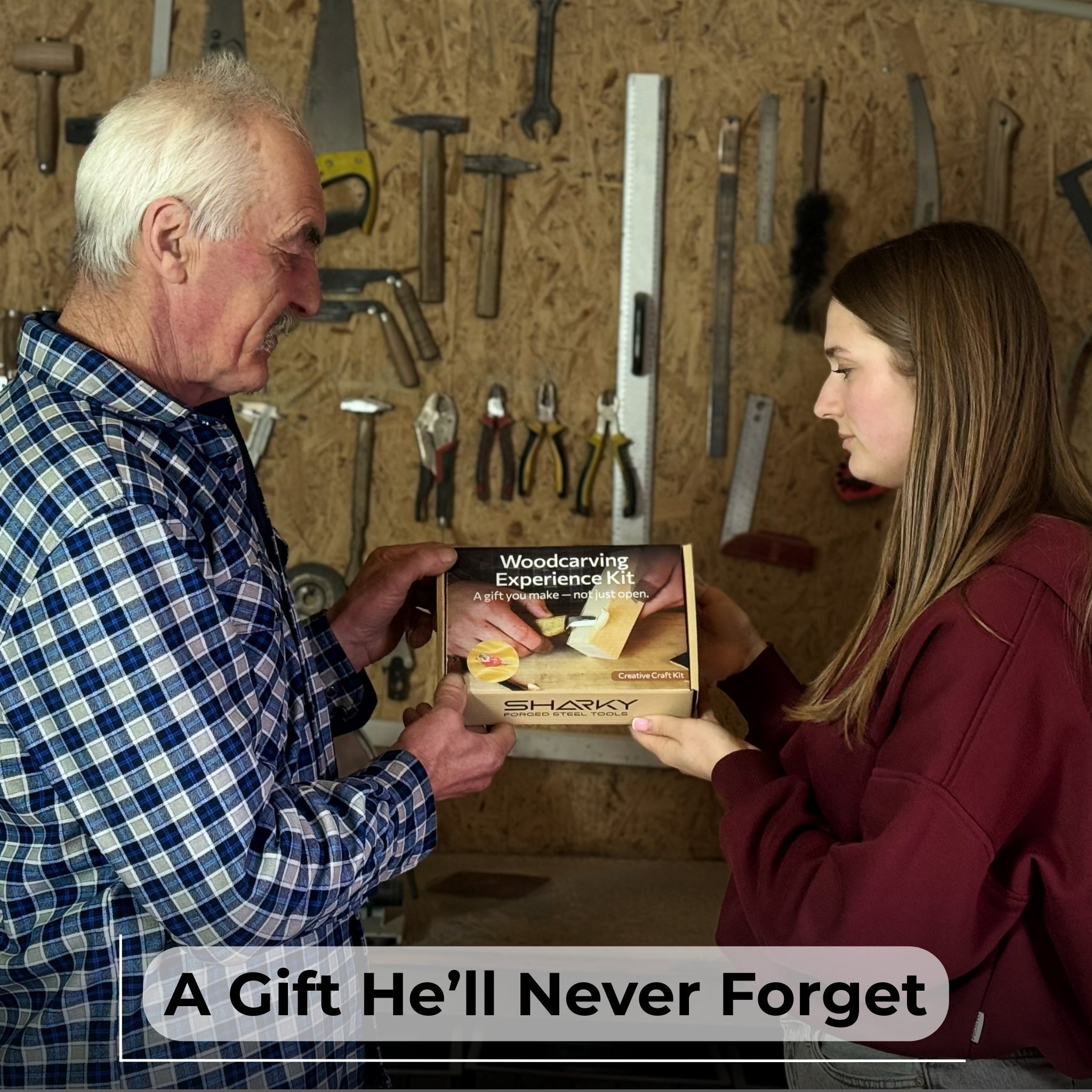 DIY Bird Wood Carving &amp; Painting Kit