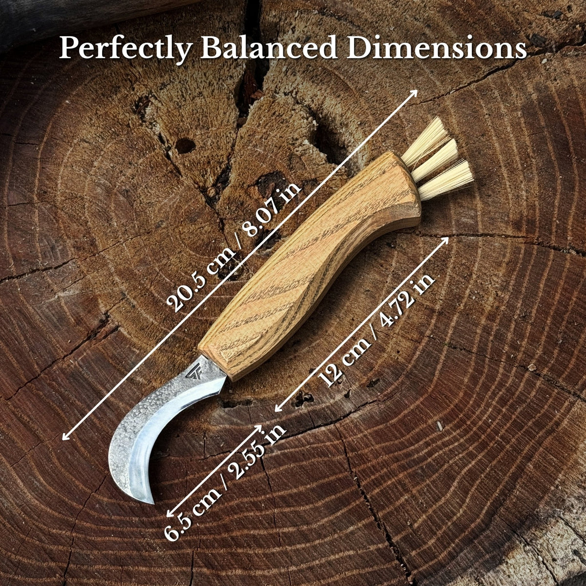 Forged Mushroom Knife with Brush, 6.5 cm (2.56 inches)