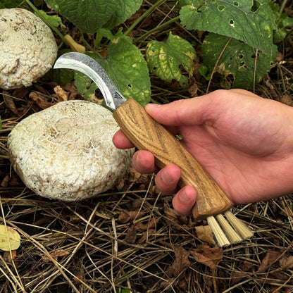 Forged Mushroom Knife with Brush, 6.5 cm (2.56 inches)