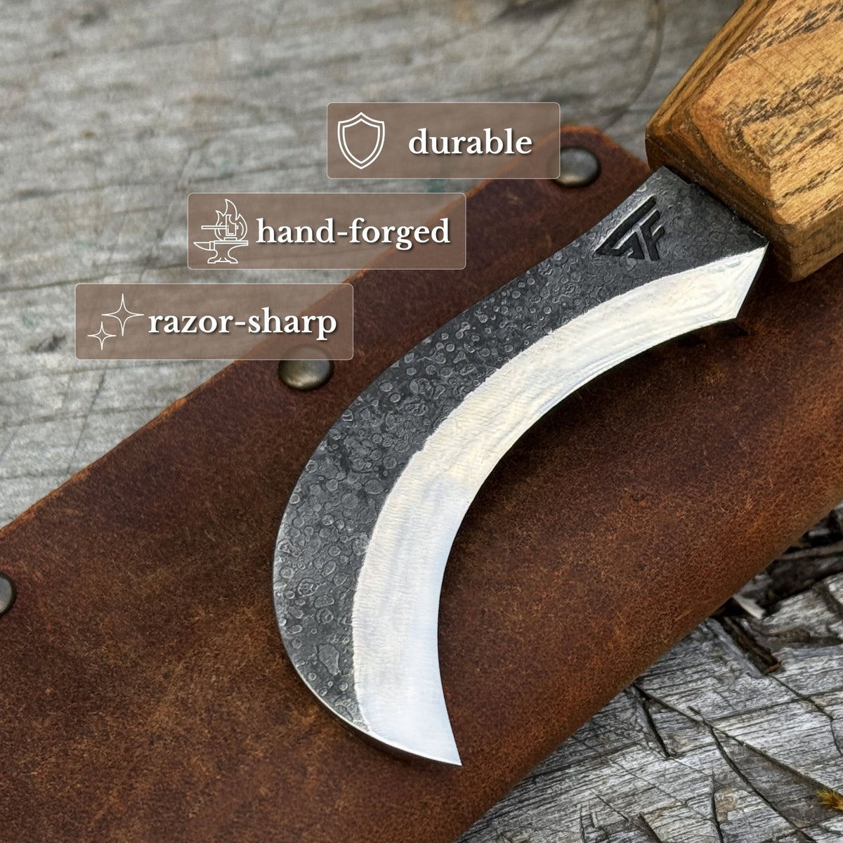 Forged Mushroom Knife with Brush, 6.5 cm (2.56 inches)