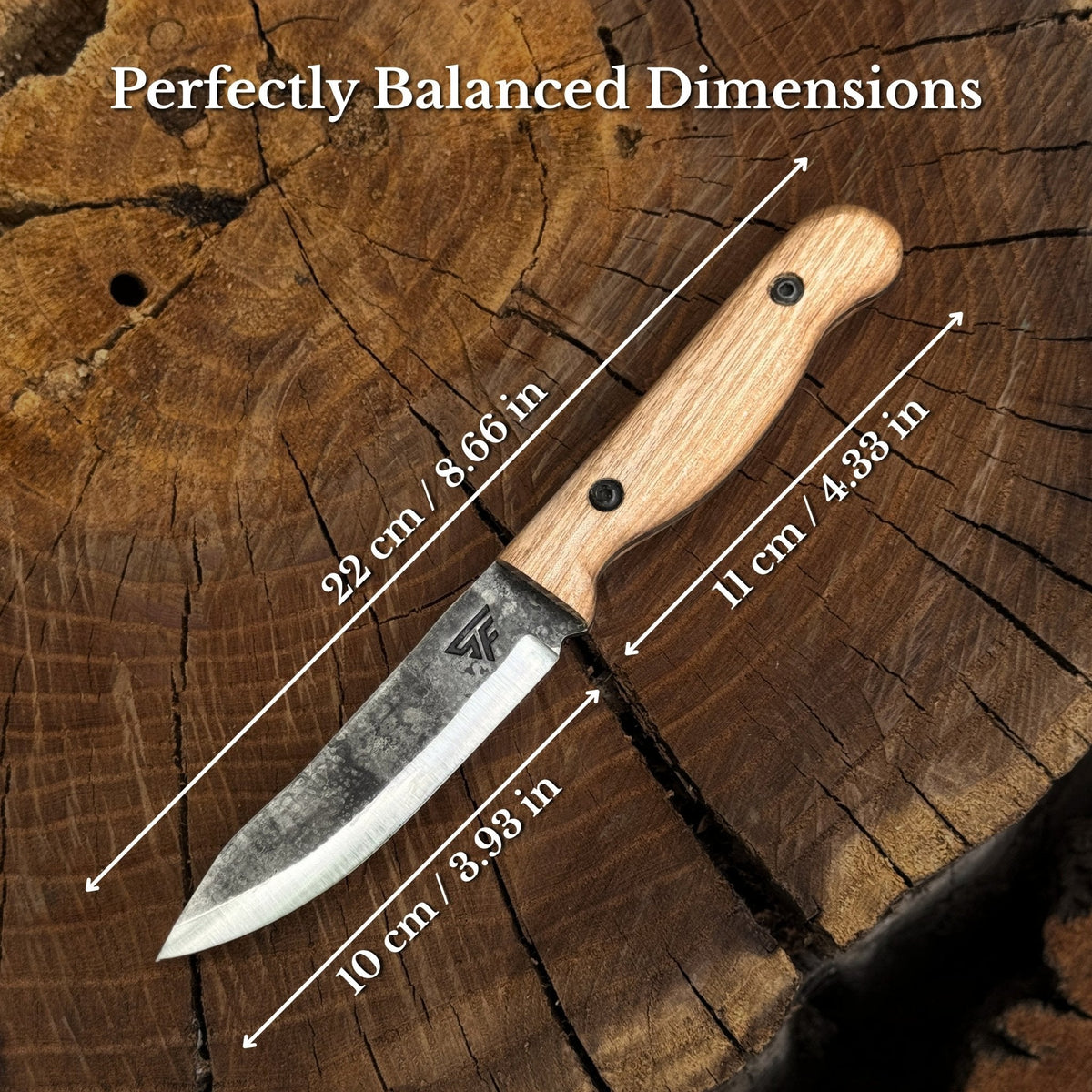 Hand-Forged Bushcraft Knife, 10 cm (3.9 in) Blade with Leather Sheath