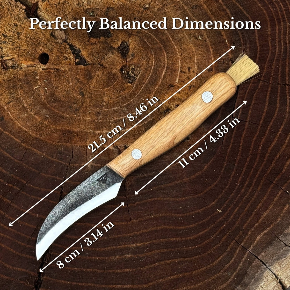 Hand-Forged Knife for Mushroom Foraging, 8 cm (3.15 inches)