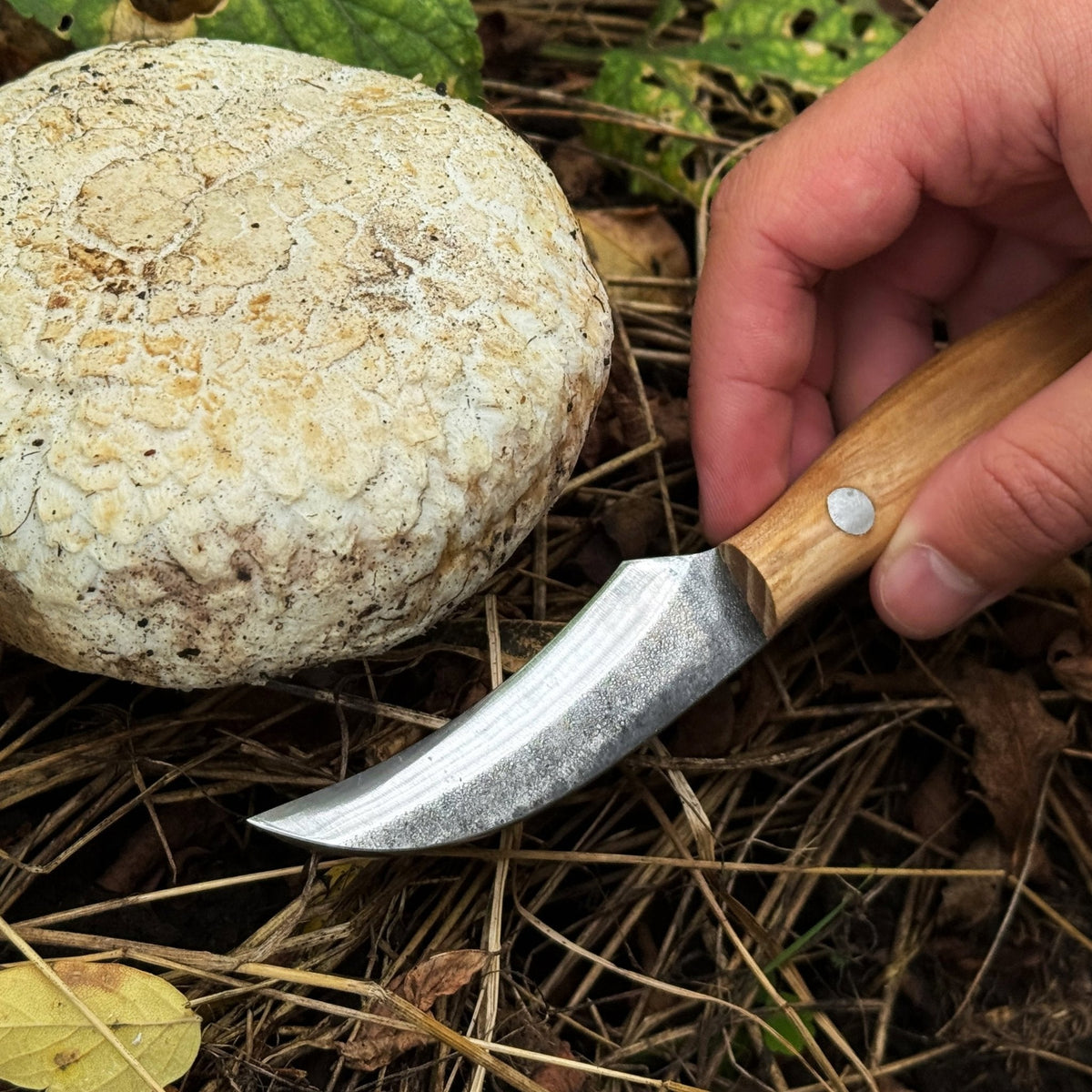 Hand-Forged Knife for Mushroom Foraging, 8 cm (3.15 inches)