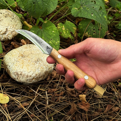Hand-Forged Knife for Mushroom Foraging, 8 cm (3.15 inches)