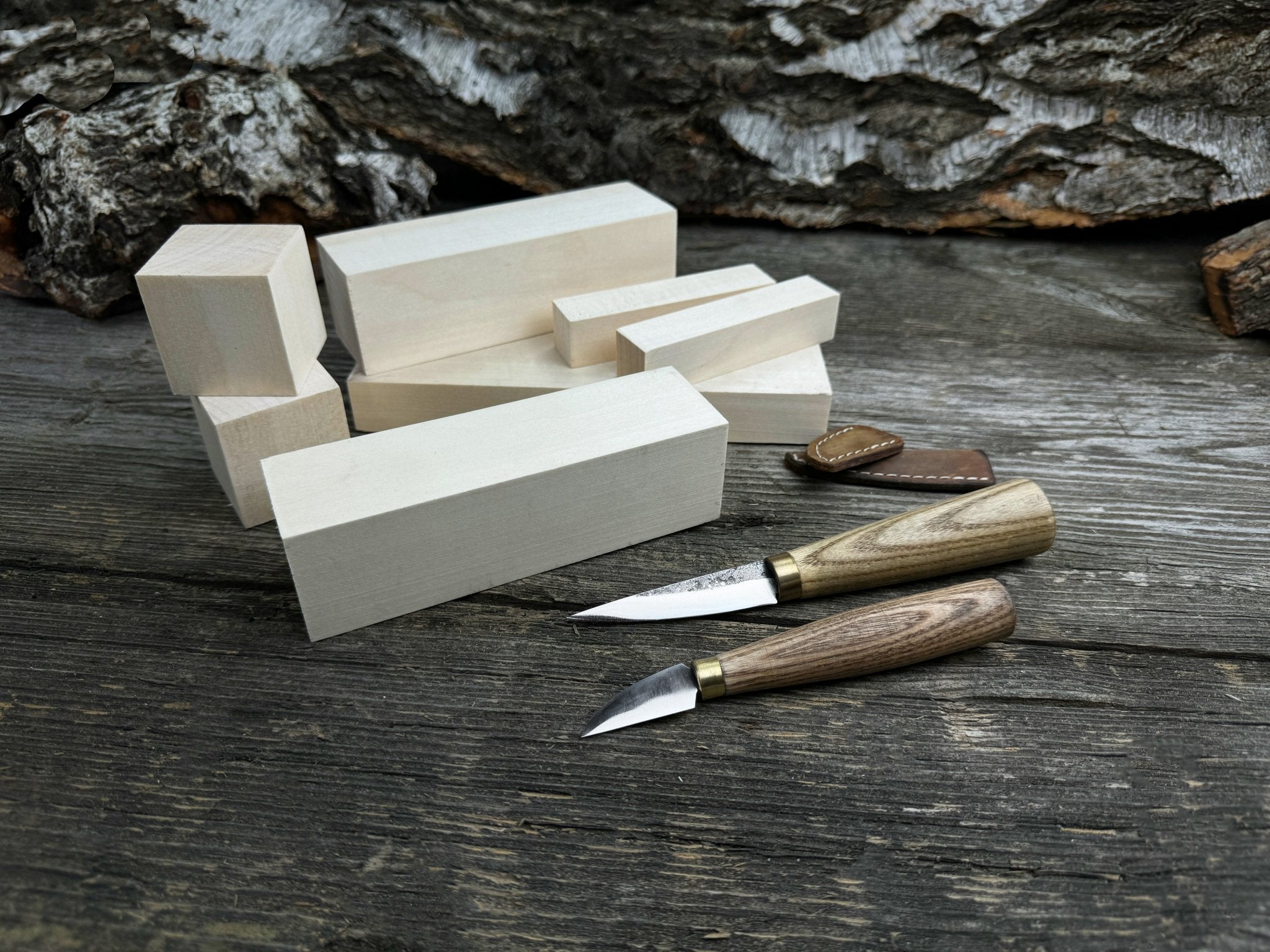 Hand-Forged Wood Carving Tool Set with Wooden Blanks WS8