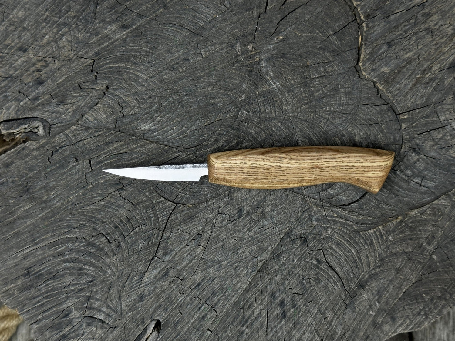 Wood Carving Sloyd Knife, Blade 6.5 cm (2.56 inches)