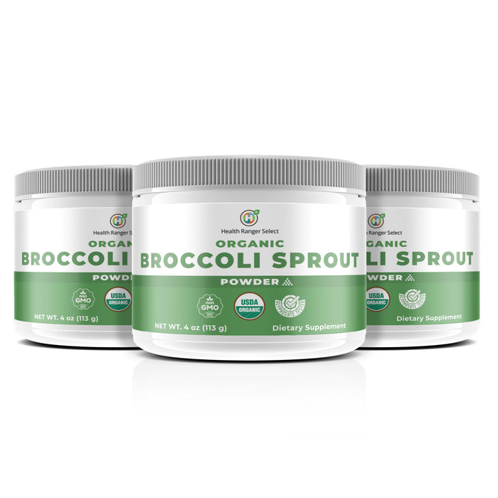 Organic Broccoli Sprout Powder 4oz (113g) (3-Pack)