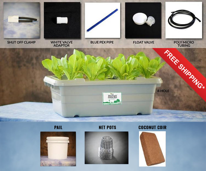 Food Rising Mini-Farm Grow Box 2.0 (Green Leafy vegetables Starter Kit with 4-hole Lid) (Ship within 2-6 business days)